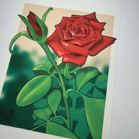 In Bloom Rose Study | Art Print