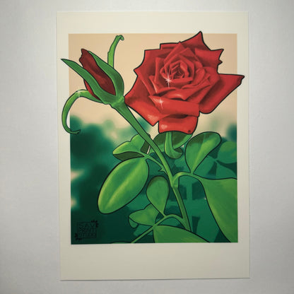 In Bloom Rose Study | Digital Print